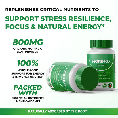 Renox Moringa Capsules